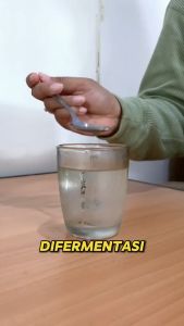 VINAPLE by Vinenon Paket 2 Botol Cuka Apel With Mother Original 300ml - Detok Alami Kesehatan Tubuh