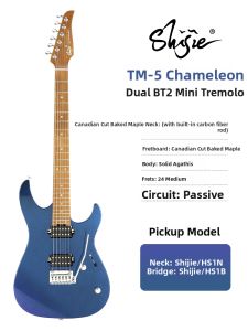 Shijie | Advanced Small Double Tremolo Electric Guitar TM5