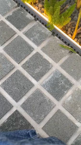 Celana pendek jeans sobek pria distro tagling premium/Celana jeans pendek cowok/Celana pendek kekinian pria/jeans pendek cowok pria/Celana pria pendek model sobek/celana cowok masa kini/celana pendek kekinian/celana pendek masa kini