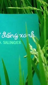 Sách - Bắt trẻ đồng xanh (TB 2020) [Nhã Nam]