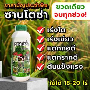 ฮอร์โมนพืช พืชโตไว ซานโตซ่าฝาเขียว เพิ่มผลผลิต