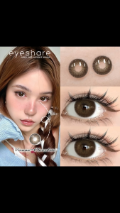 [Grade 0.00~-6.00] VIENNA Series Chocolate Contact lenses 1Pair Big Eye Gray Soft Colored Contacts