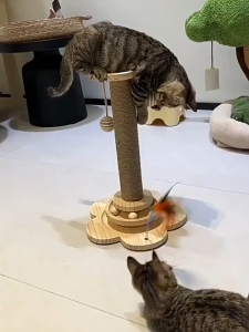 HATELI Pet Cat Scratching Post Claw Scratcher Cat Climbing Frame Cat Scratchers Board Cat Tree Tower Cat Toy