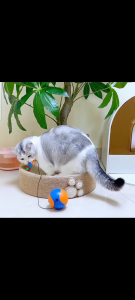 Rolling Ball with Cat Teaser Toy Interactive Cat Toy Self Entertain Cat Ball Toy