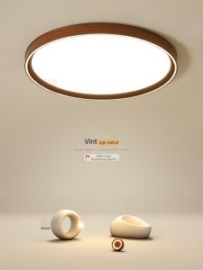 Vintage Full Spectrum LED Minimal Round Light Fixture