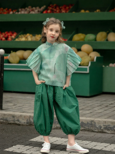 Girls Traditional Style Stand Collar Short Sleeve Blouse