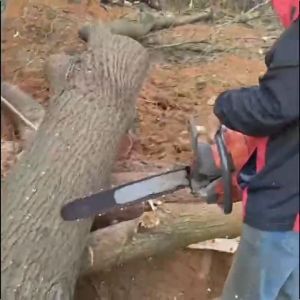 Comprehensive Guide to Chainsaw Sizes & Accessories (16-24 Inches)