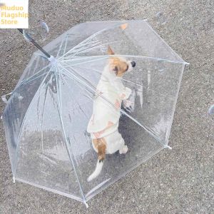 gumahus | Adjustable Dog Walking Pet Umbrella
