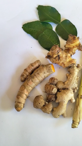 Paket Lengkap Bumbu Rempah Jahe Kunyit Kencur Sereh lengkuas Daun Jeruk untuk Opor Rendang Gulai