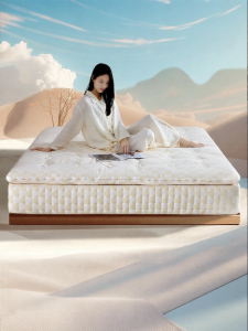 Double Layer Detachable High End Handmade Horsehair No Glue Mattress