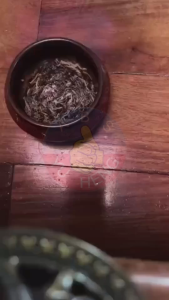 ABS YU HENG Insect Repellent Coil Sandalwood Scent 20 coils per box