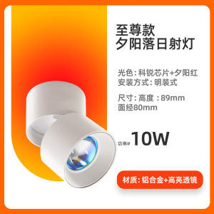 Sunset Projection Lamp Surface Mounted Spotlight Recessed Wall Washer Sunset Red Cyclic Light for Entryway Wall Art Outdoor Home