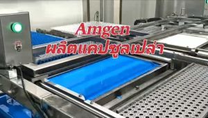 แคปซูลเปล่าเจลาติน สีม่วงแดงเหลืองอ่อน เบอร์ 0 500 มก 1ห่อ บรรจุ 1000 แคปซูล #แคปซูล #แคปซูลเปล่า #แคปซูลพืช #แคปซูลเจลาติน