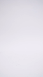 Nose Pointed Toie High Heel Pump - Maroon