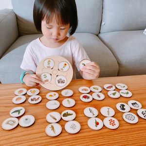 Đồ chơi giáo dục montessori  xếp hình vòng đời sinh trưởng động thực vật chất liệu gỗ nhận thức sớm cho trẻ