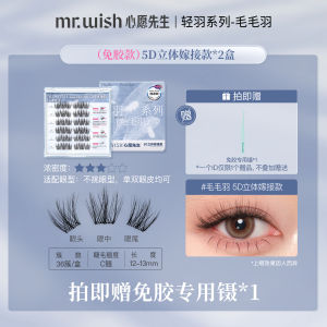 Mr.Wish Feather Series Lightweight False Eyelashes 2 Boxes Glue-Free Beauty Tools for Perfect Makeup Application