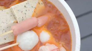 Portable Stove Camping Small Gas Stove Lightweight BBQ Burner Camp Stove with Carrying Case Outdoor Picnic Hiking