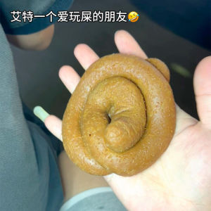 Creative Prank Toy Realistic Simulation Excrement Play Mud Texture Stress Relief Childrens Toy Non-toxic Prank Toy