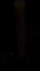 TINH DẦU DƯỠNG & TÁI TẠO CẤU TRÚC TÓC MACADAMIA COLLAGEN STAR FLUID 100ML