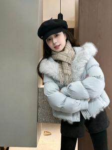 Spring New Cloud Puff Thickened Hooded Short Coat Blue