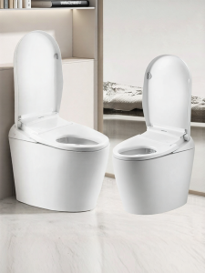 Panasonic | Smart Automatic Toilet Compact Foaming Rinse