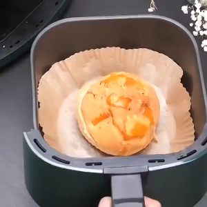Disposable Air Fryer Paper Round 100Pcs Parchment Liner Oil Proof Non-Stick for Baking Roasting Kertas 炸锅垫纸