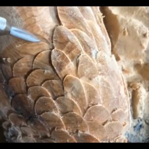 5 Buah/Set Wood Carving Drill Bit Milling Cutter Mata Bor Ukir Kayu Elektrik Alat Ukir Akar