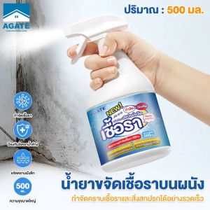สเปรย์ขจัดเชื้อรา 500MLสเปรย์ขจัดเชื้อรา สเปรย์กำจัดคราบเชื้อรา น้ำยาเช็ดเชื้อรา อัตราการฆ่าเชื้อสูงถึง99%