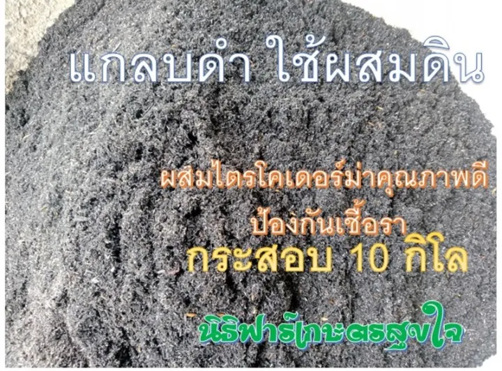 แกลบดำ 10 กิโล ผสมไตรโคเดอร์ม่า ป้องกันเชื้อรา