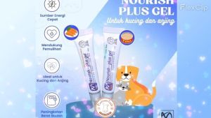 AMCARE NOURISH PLUS GEL FOR CAT & DOG 15GR - Nutrisi Pemulihan Untuk Kucing & Anjing