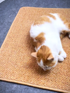 แผ่นขูดแมว ทำความสะอาดง่าย ใช้ได้หลากหลาย ทนทานต่อการข่วนและกัด ไม่หลุดลุ่ยง่าย