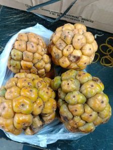 Asam Sihala Asam Cikala Buah Rias Asam Arsik Ikan Mas Asam Medan