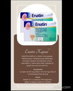 ENATIN BLISTER 9 KAPSUL OBAT HERBAL BATU GINJAL