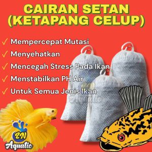 Ketapang Celup Lumer Cairan Setan Cupang Chana Ys Maru asiatika dll