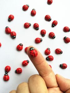 Handmade Wooden Ladybug Ornament Miniature Landscape Decorative Plant Pot Home Decoration Rural Style Animal Shape Craft