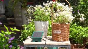 1pc DIY Solar-Powered Automatic Drip Irrigation System for Raised Beds Greenhouses Vegetable Gardens Balcony Hanging Plants
