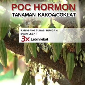 Hormon tanaman buah kakaoPupuk organik cair pelebat buah kakaoPupuk pelebat buahPupuk buah kakao