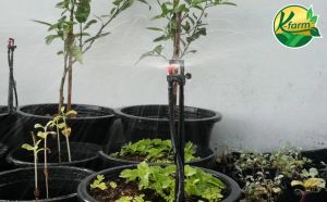 (50 อัน) มินิสปริงเกอร์ ใบ D สีแดง พร้อมขาปัก 30 เซนติเมตร สายไมโครครบชุด สปริงเกอร์ มินิสปริงเกอร์พร้อมขาปัก น้ำมันสปริงเกอร์ Mini Sprinkler K FARM