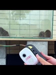 แก้ปัญหาแมลงและหนูในคราวเดียวไม่เสียแรง เครื่องไล่หนู มีประสิทธิภาพมากกว่าสเปรย์แล้วยา กำจัดหนู หนู แมลง มด ยุง และแมลงสาบในบ้านของคุณก็จะหายไปเช่นกัน ไม่เป็นอันตรายต่อคนและสัตว์เลี้ยง เครื่องไล่หนูไฟฟ้า มีผลใช้บังคับในวันเดียวกัน ที่ไล่หนูไฟฟ้า