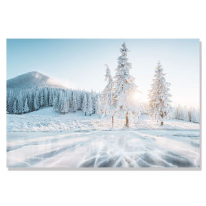 Deer Forest Flower Lake Snow Owl Landscape Winter Wall Art Canvas Painting Nordic Posters And Prints Wall Pictures Home Decor