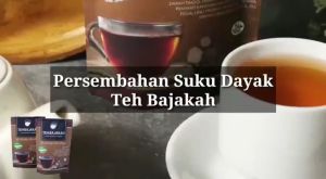 Teh Kayu Bajakah Kalimantan Kualitas Terbaik 100% Kayu Akar Bajakah Asli Isi 20 Kantong Teh / Teh hijau Teh celup Teh dandang Teh celup murah promo Teh tubruk