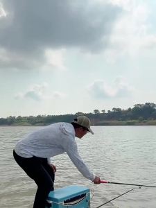 LIUZHIQIANG | Khối Mồi Chung Cho Cá Chép Vàng Thế Hệ 2