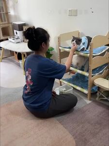 ZHUCHONG | Hairball Relief Tasty Cat Treats Cat Grass Biscuits