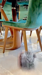 Pelindung Kaki Meja/Kursi Universal Silicone Cover Non-slip Motif Kartun Kucing yang Lucu dan Empuk 4pcs