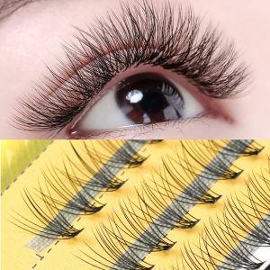 60 Pcs Individual Cluster Eyelashes Grafting 10D False Eyelashes Eyelash Extension Fake Eyelash Natural Look DIY Eyelash Extension Individual Eyelash Bunche