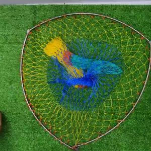 [HCM]Gọng Vợt Cá Tam Giác Inox Gấp Gọn Lưới Cước 2.5cm Size Đại VN