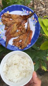 Khô Cá Ngát Biển Xẻ Thịt Bỏ Bụng Và Đầu Phơi Khô Nắng Tự Nhiên Tẩm Vị Ớt Cay Nhẹ Thơm - VỰA KHÔ MINH TRIẾT