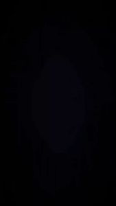 Sweater Hoodie Bordir Dickies: Pilihan Pakaian Musim Dingin yang Nyaman & Stylish