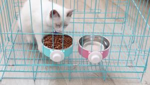 Stainless Steel Pet Hanging Food Tray Bekas Makanan Kucing Murah Cat Dog Bowl Cage Hanging Bowl