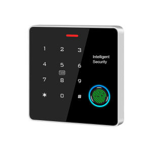 IP67 Waterproof Dual Frequency RFID Access Control Keypad Zinc Alloy 125KHz 13.56MHz Wiegand Door Entry Backlight Outdoor